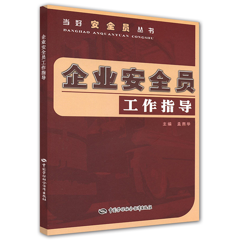 企业安全员工作指导--当好安全员丛书 安全生产月推荐用书