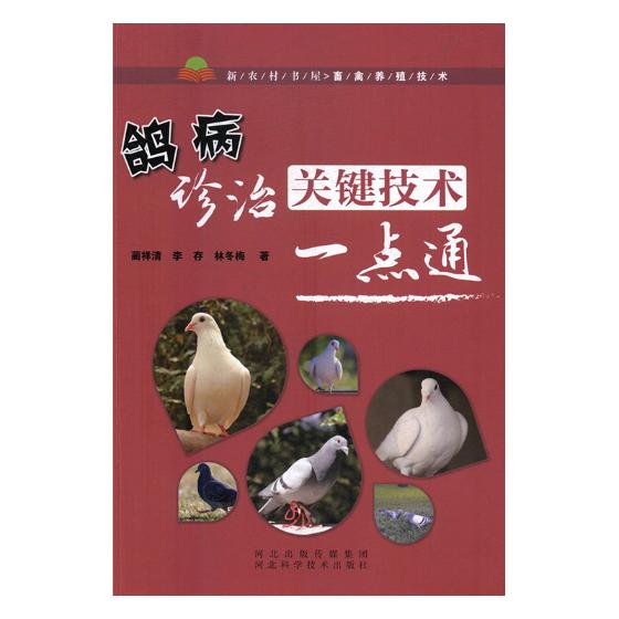 鸽病诊治关键技术一点通 书籍 农业 林业 动物医学