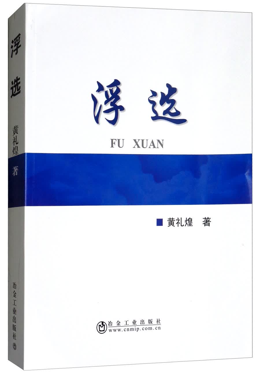 浮选9787502477271