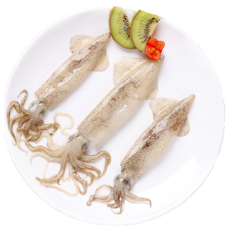 宓蝶*轻恋 新鲜笔管鱼 海兔小墨鱼仔 顺丰空运 海兔子 满籽籽乌新鲜活