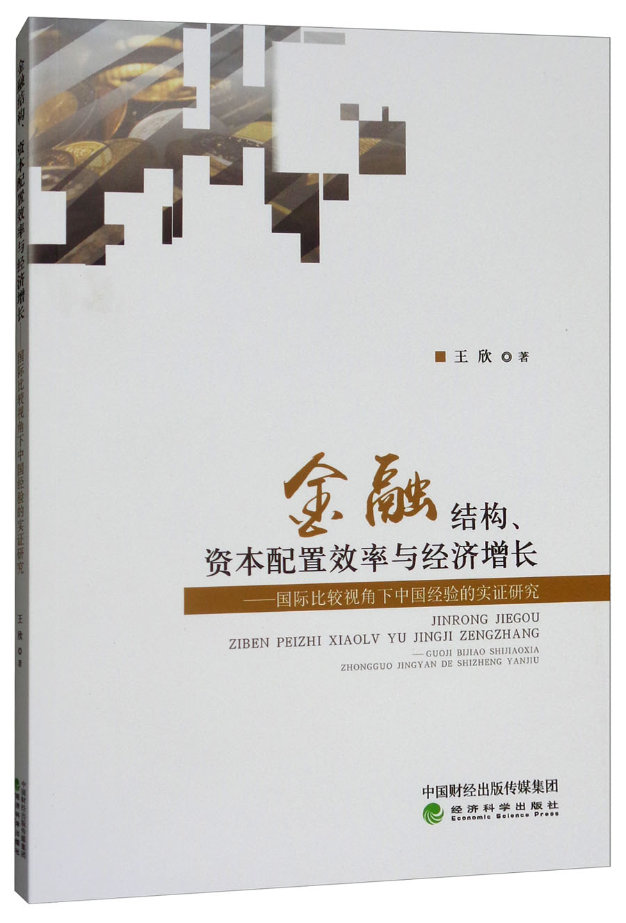 金融结构、资本配置效率与经济增长：国际比较视角下中国经验的实证研究