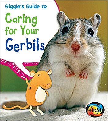 giggles guide to caring for your gerbils