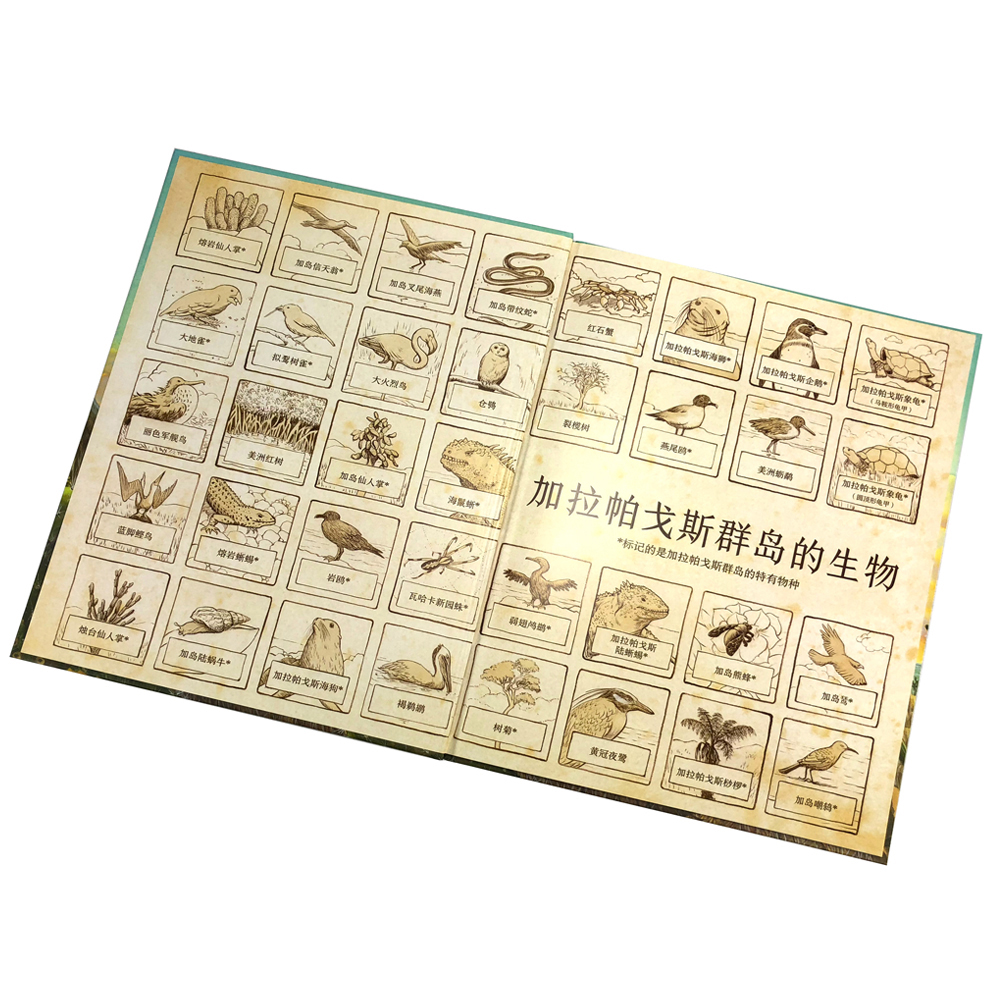 点读版 一座岛的600万年 加拉帕戈斯群岛的前世今生 精装硬壳书(绘本凯迪克获奖者作品3到6岁)暑假阅读暑假课外书课外暑假自主阅读暑期假期读物详情图