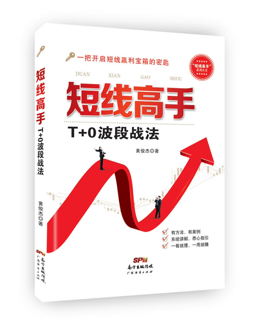 短线高手：T+0波段战法