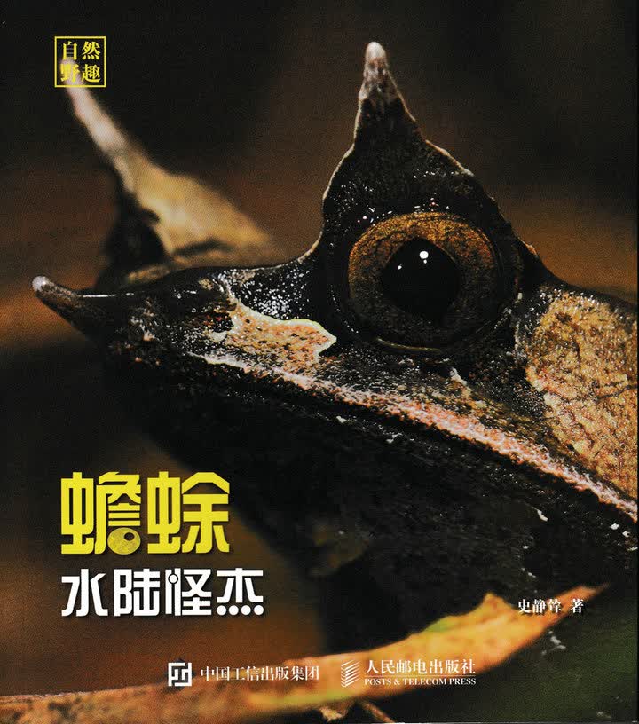 水陆怪杰 蟾蜍（异步图书出品）