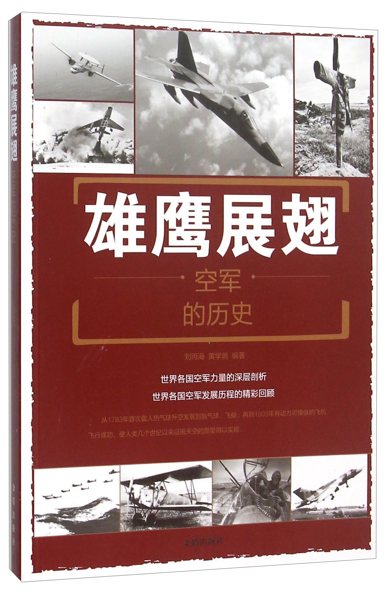 【正版书】雄鹰展翅:空军的历史9787518604715