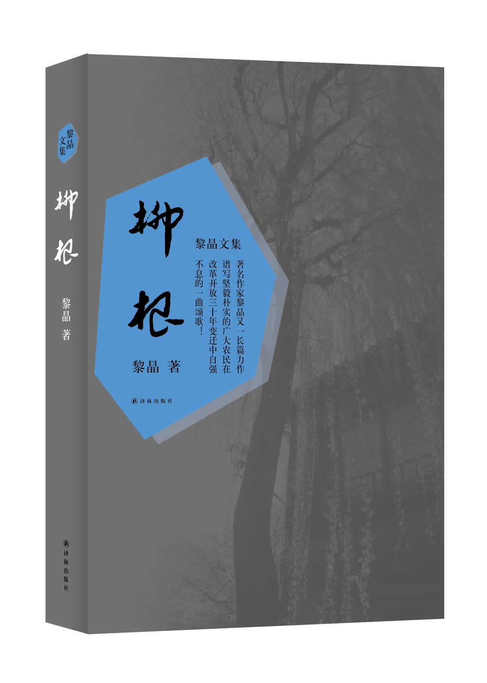 黎晶文集：柳根