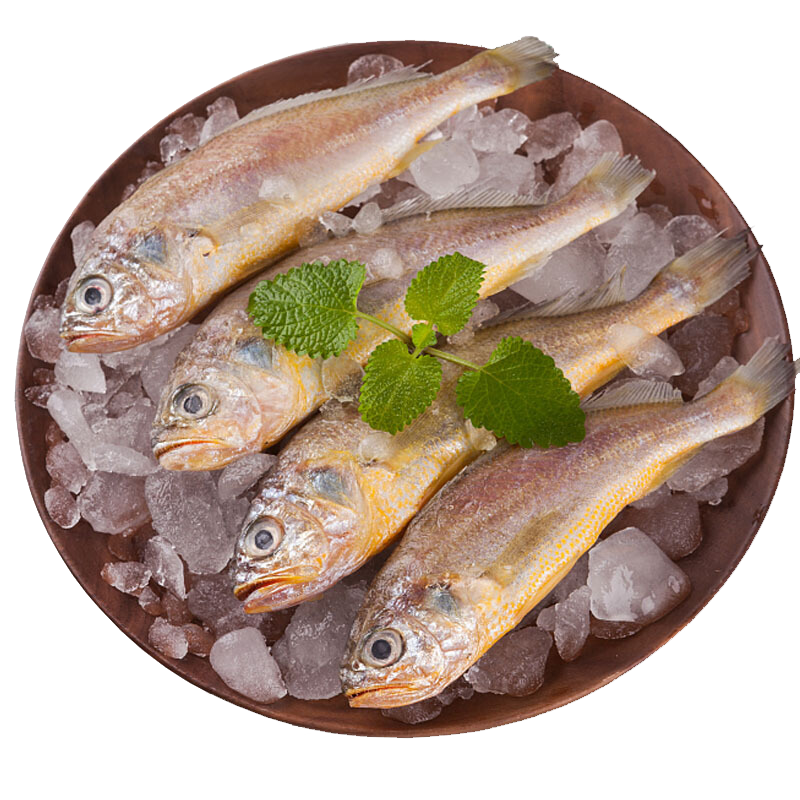 速鲜 东海冷冻活冻小黄花鱼 海鲜水产 1000g  袋装 海鲜黄鱼