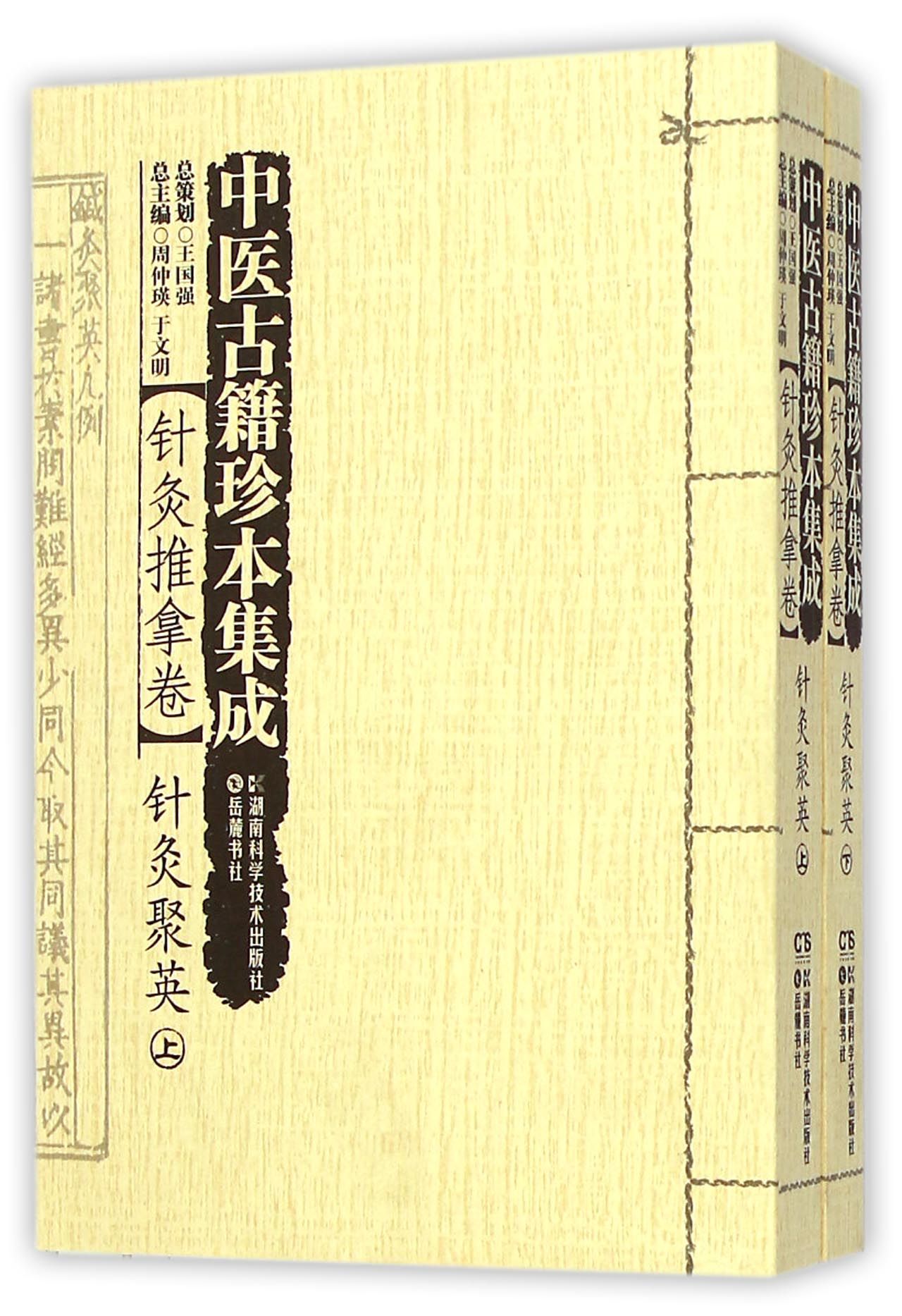 中医古籍珍本集成(针灸推拿卷针灸聚英上下)