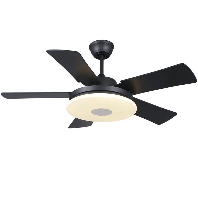 佑家LED餐廳風(fēng)扇燈吊扇燈現(xiàn)代簡(jiǎn)約客廳吊燈風(fēng)扇臥室電扇燈 【變頻款】啞白 6檔風(fēng) 55瓦LED 42寸