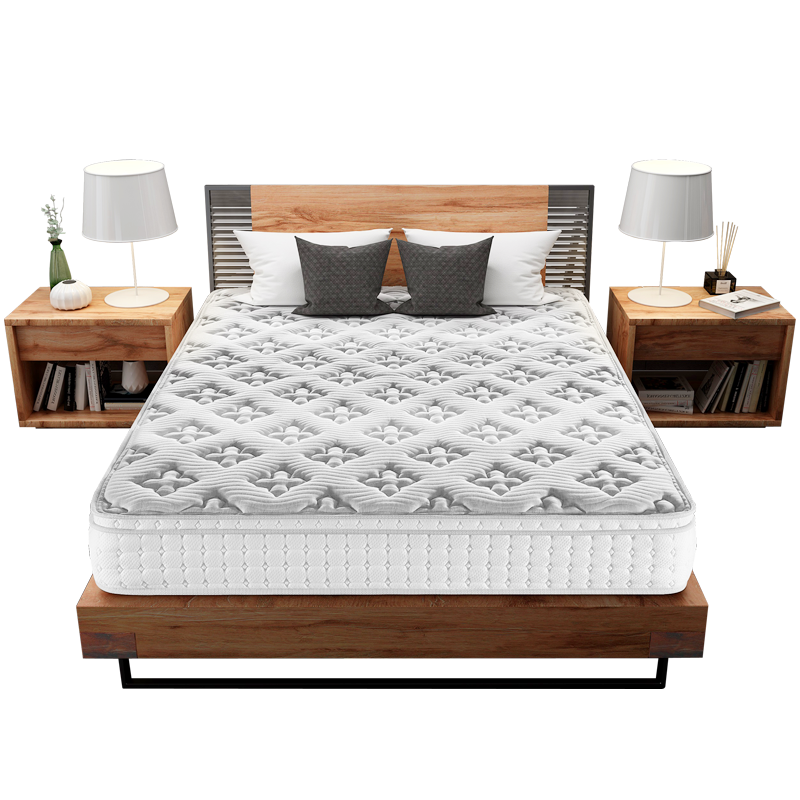 穗宝（SYMBOL）椰棕垫记忆棉床垫3D环保椰棕独立弹簧床垫席梦思软硬两用床垫子Dream·梦旅人 图片色 180*200cm