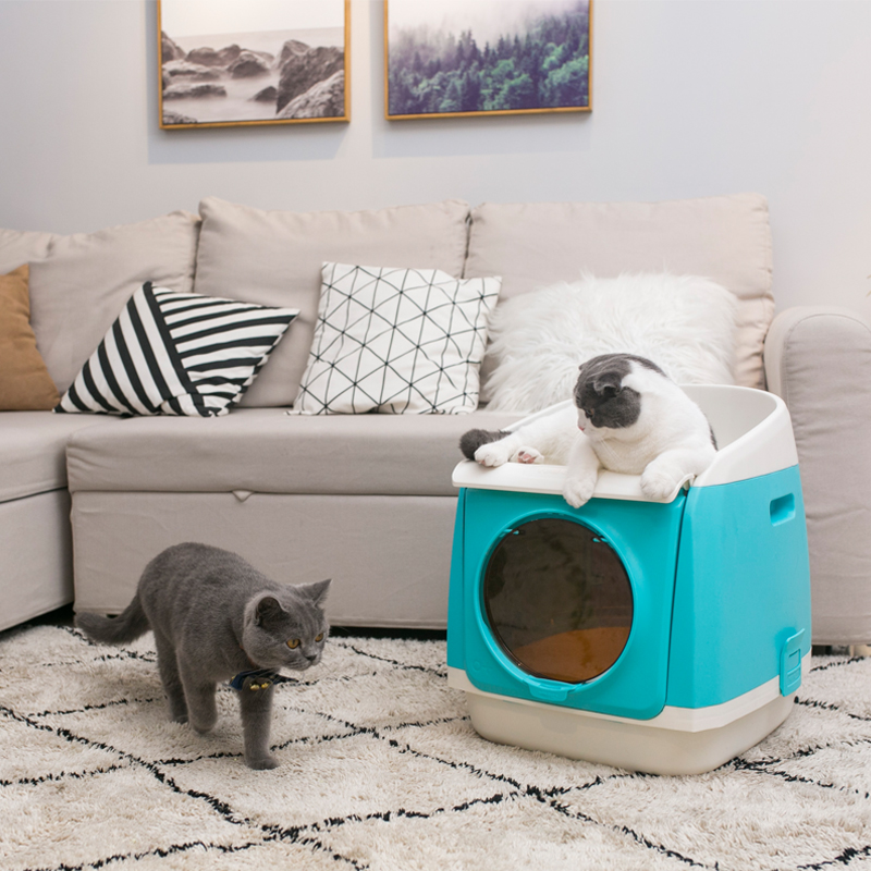 猫砂盆全封闭式猫咪用品猫厕所单层宠物猫用梦华魅蓝组装容易吗？