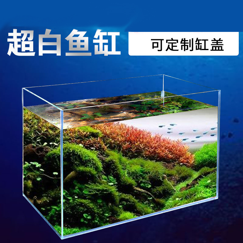 宝贝故事超白定制01鱼缸怎么样？体验后讲实情内幕？