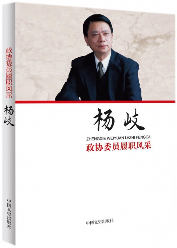 杨岐/政协委员履职风采