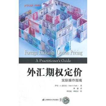  外汇期权定价：实际操作指南(引进版) 