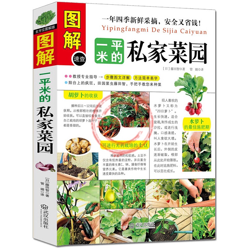 图解一平米的私家菜园（日）藤田智著步骤方法简单易学窗台阳台庭院顶楼书籍正版图书