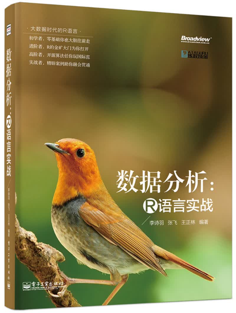 大数据时代的R语言&middot;数据分析：R语言实战(博文视点出品)