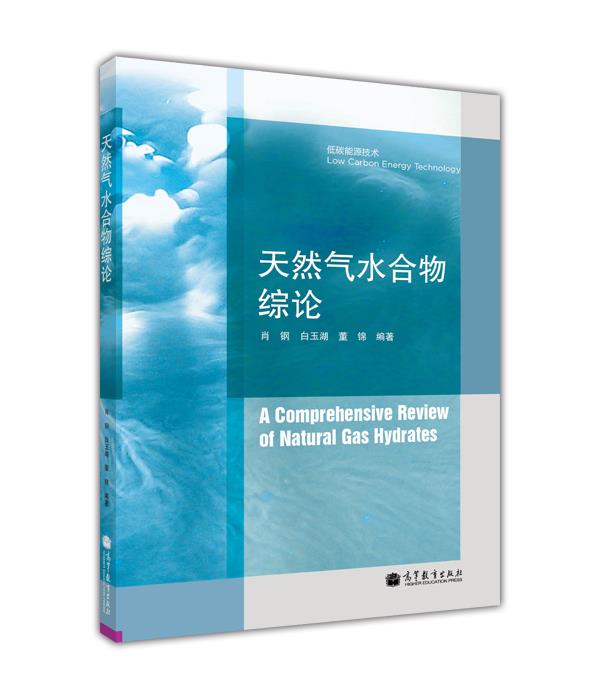 天然气水合物综论高性价比高么？