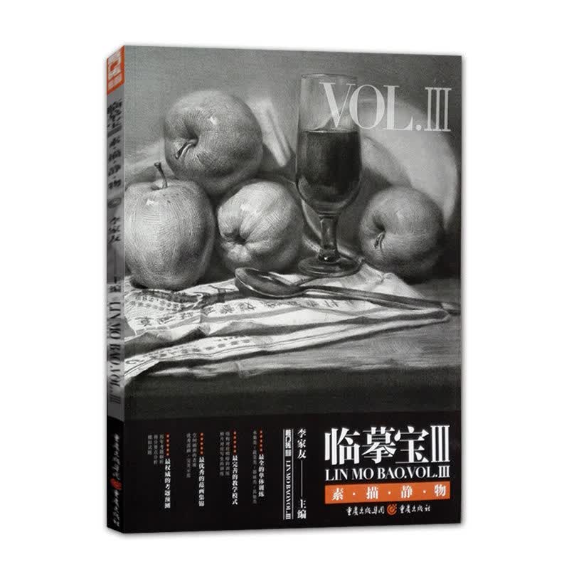临摹宝3素描静物敲门砖会画了李家友编素描静物结构到明暗基础入门