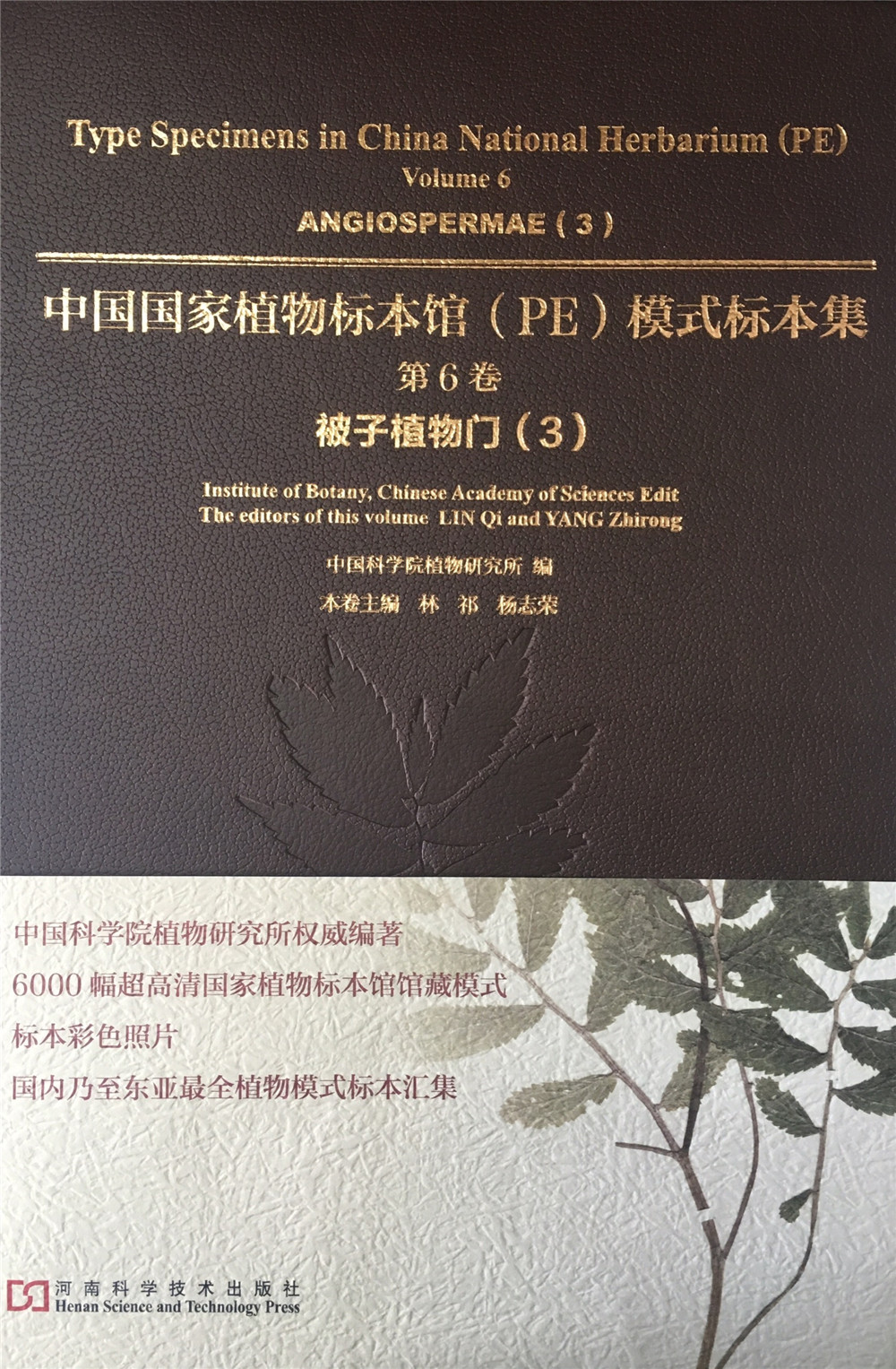 中国国家植物标本馆(pe)模式标本集·第6卷:被子植物门(3)