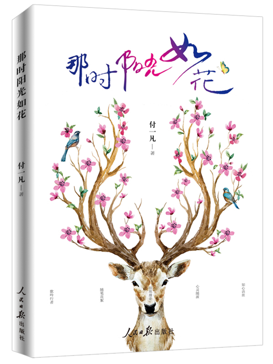 那时阳光如花