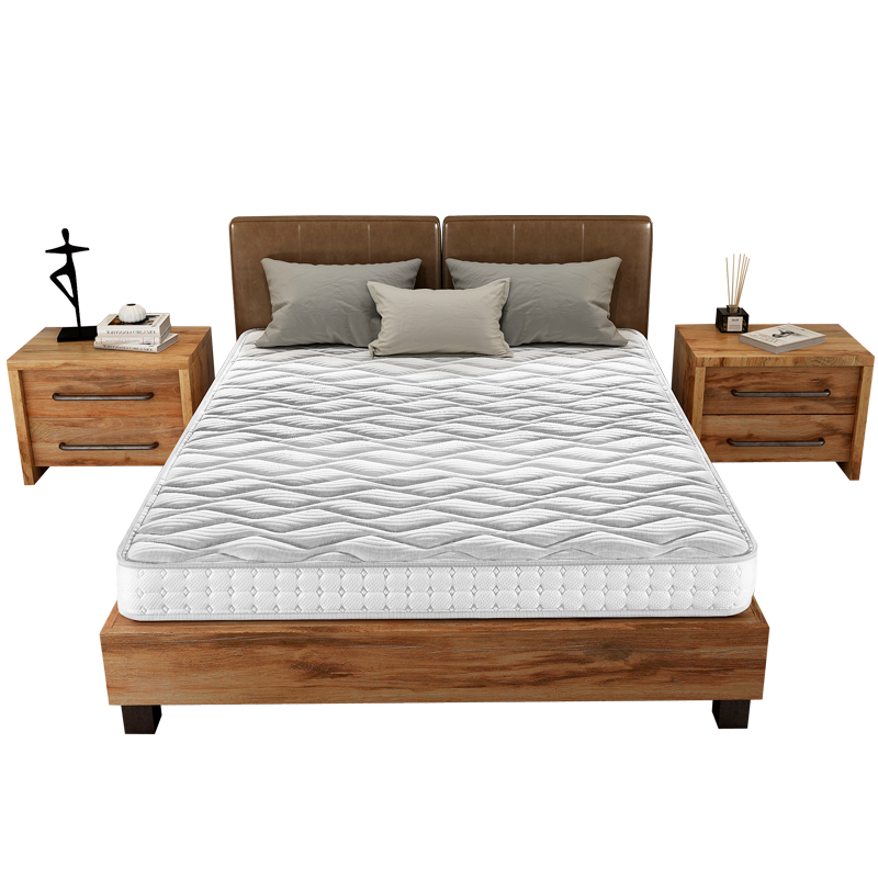 穗宝（SYMBOL）3D环保椰棕硬床垫记忆棉弹簧床垫偏硬护脊椎薄垫15cm厚 Dream·理想国 图片色 150*200*15cm