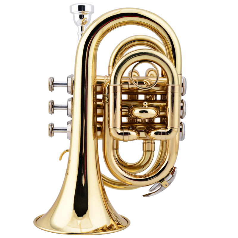 金音手掌号便携式小号降b调袖珍短号铜管乐器乐队演奏成人学生乐器 漆