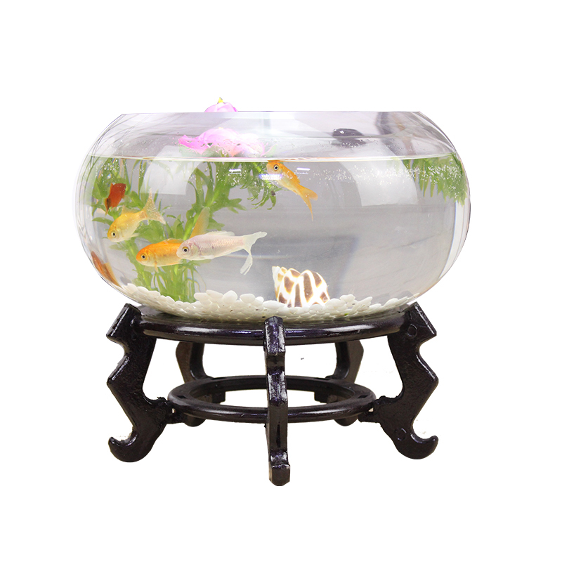 宝贝故事小鱼缸好不好优缺点实情?良心评测