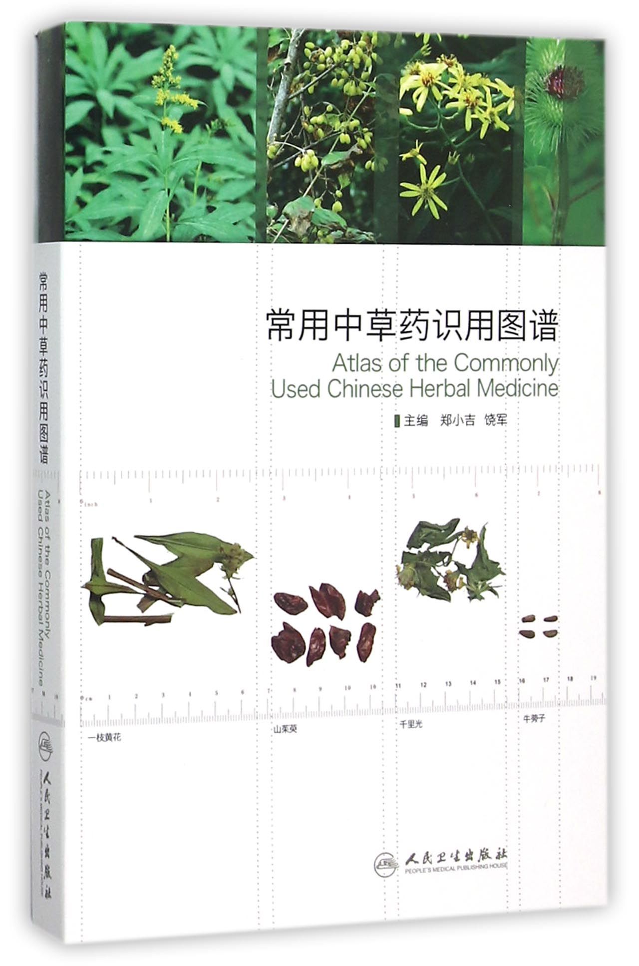 常用中草药识用图谱