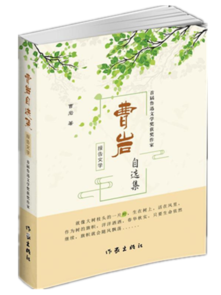 曹岩报告文学自选集
