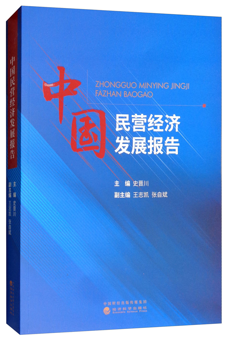 中国民营经济发展报告
