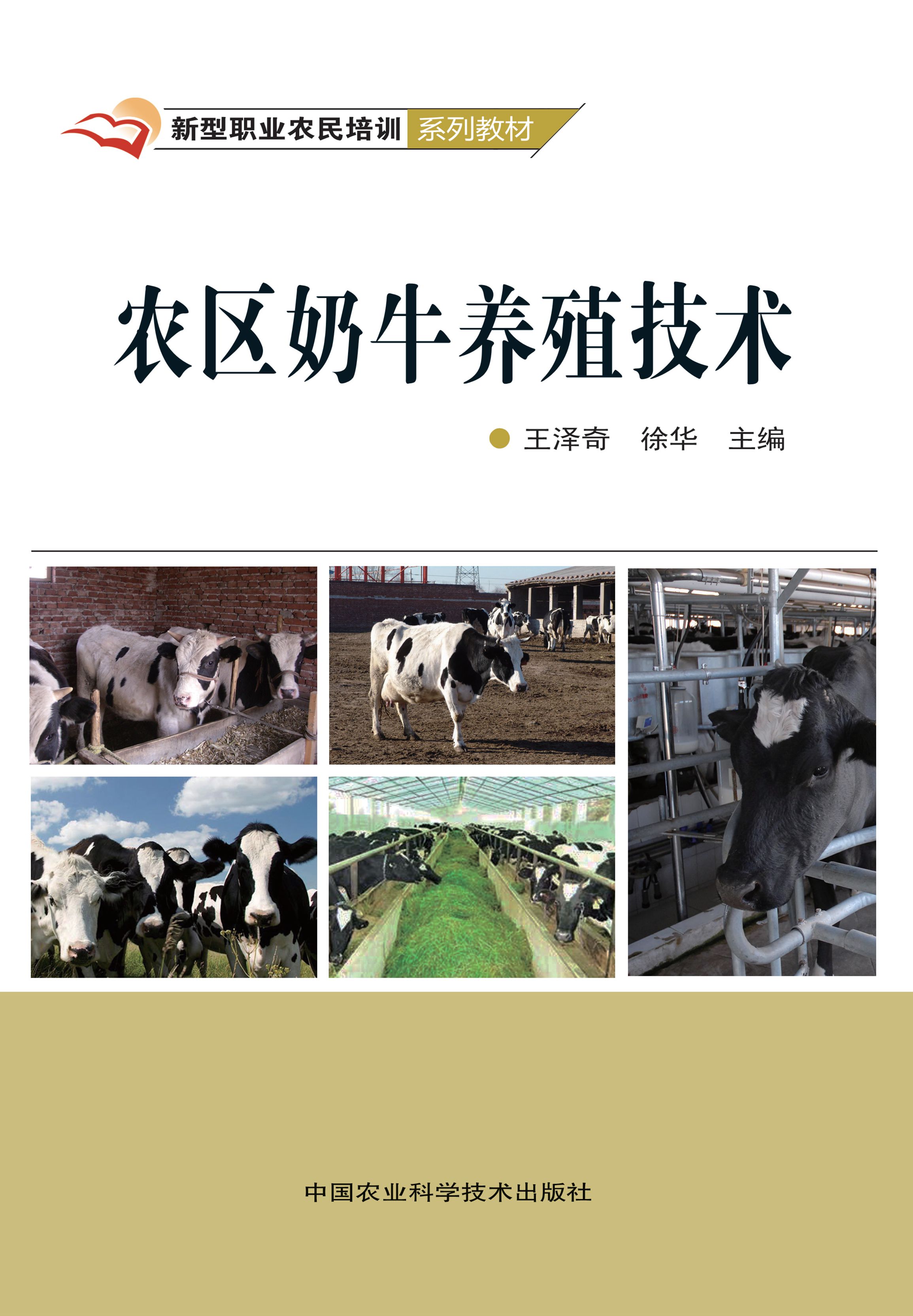 农区奶牛养殖技术
