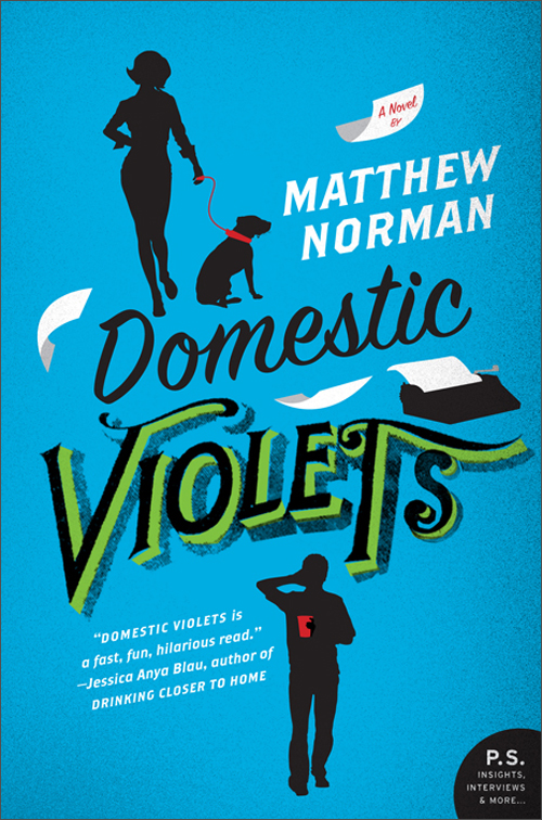domestic violets