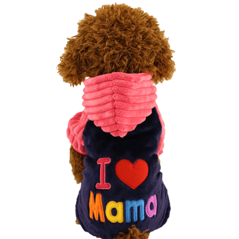 买宠物鞋服，为宠物健康保驾护航|宠物鞋服价格走势图分析