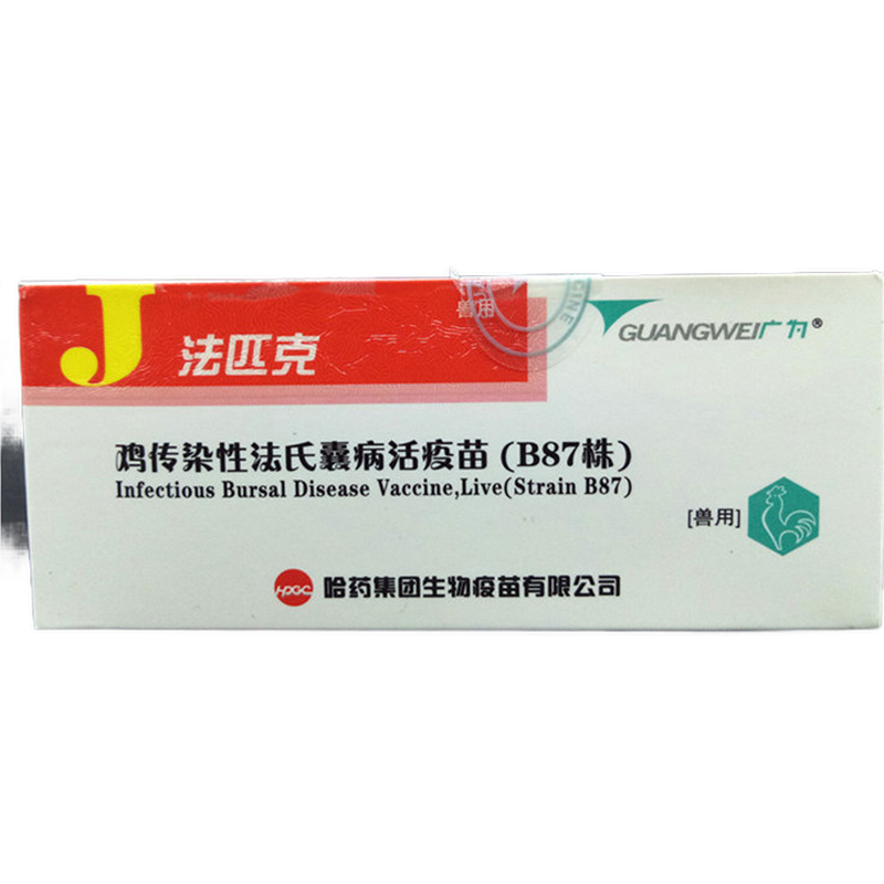 坤昱 整盒哈药法匹克鸡传染性法氏囊病活疫苗(b87株中等毒力b87疫苗