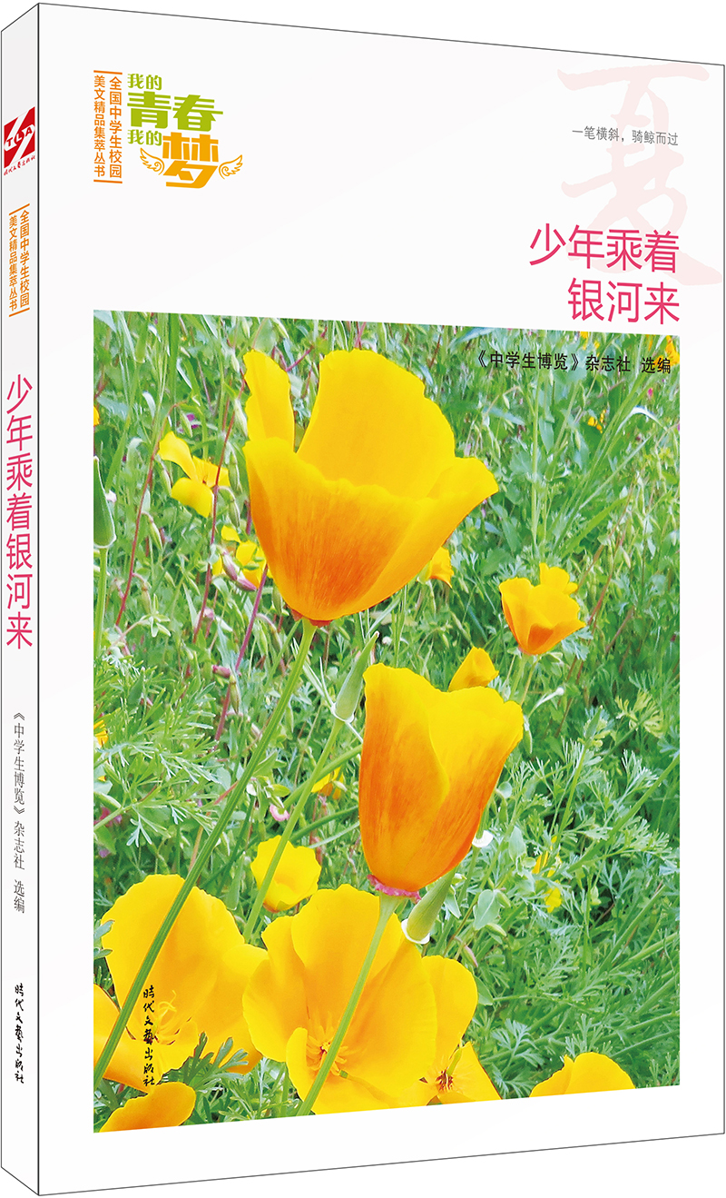 我的青春我的梦：（夏）少年乘着银河来