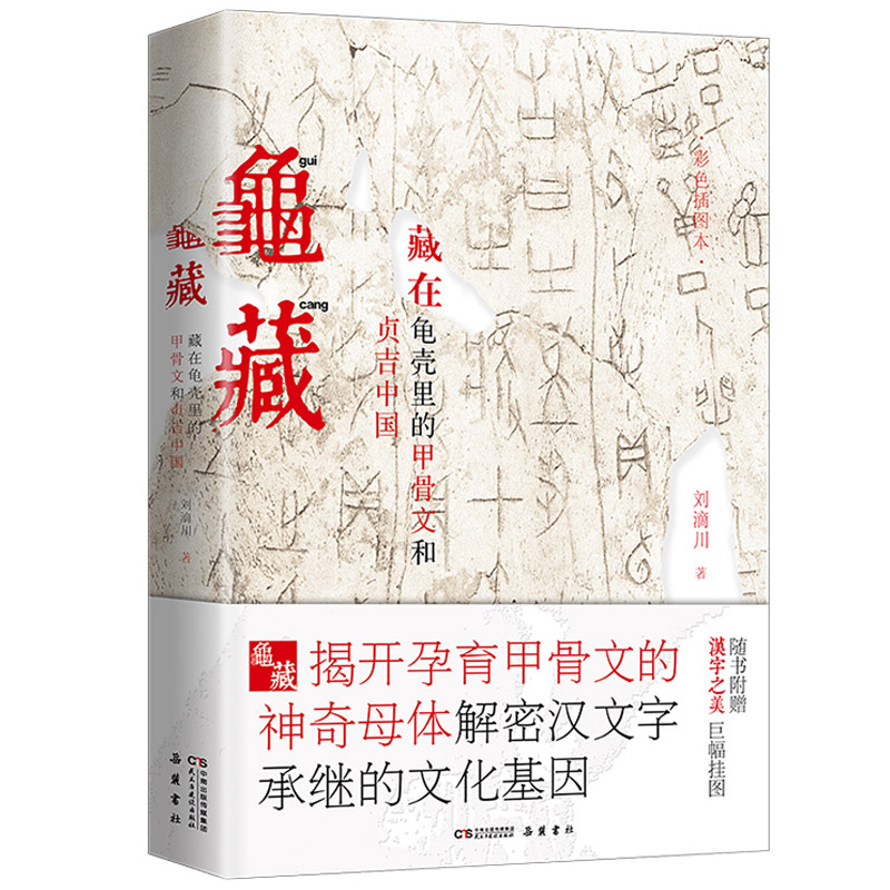 龟藏彩色精装图版汉字之美巨幅挂图