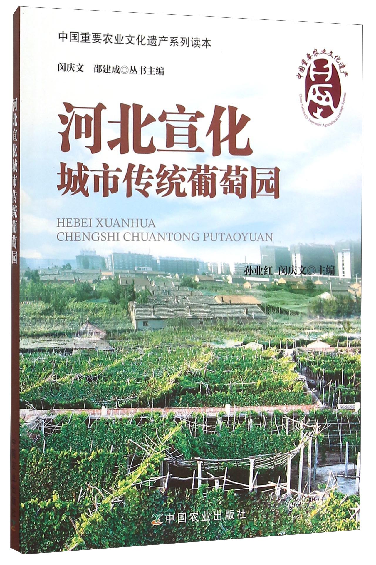 【官方正版】河北宣化城市传统葡萄园 传统葡萄园