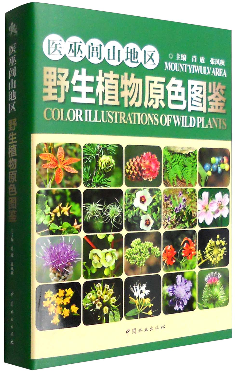 医巫闾山地区野生植物原色图鉴(附光盘)