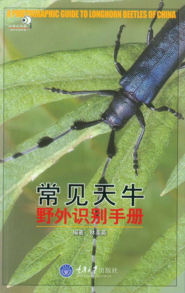 好奇心书系·野外识别手册：常见天牛野外识别手册