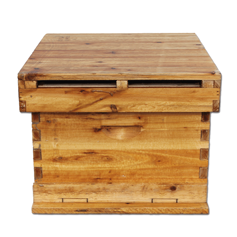 福美养蜂 蜜蜂蜂箱成品全套巢框全套餐中蜂十框箱标准煮蜡土蜂箱养蜂工具批发 蜂箱+5个中蜂巢框