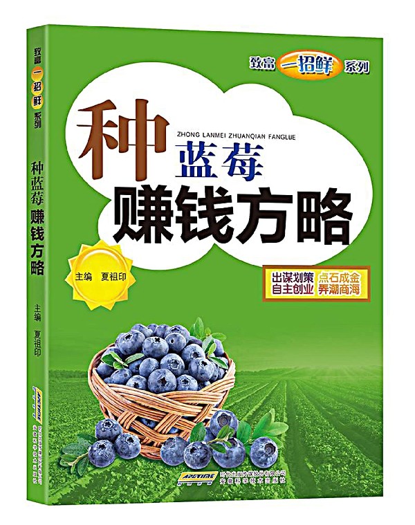 种蓝莓赚钱方略/致富一招鲜系列