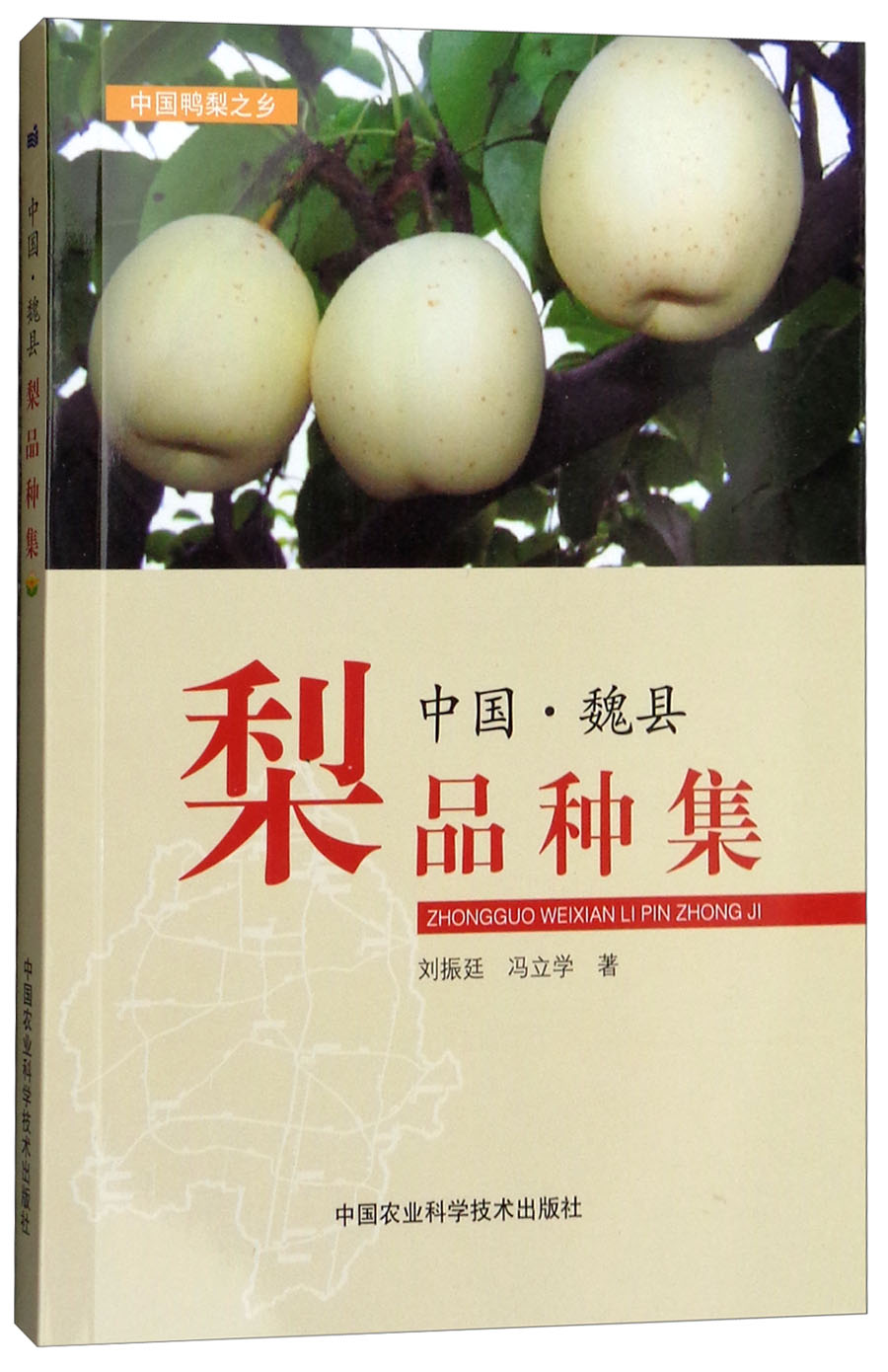 中国魏县梨品种集