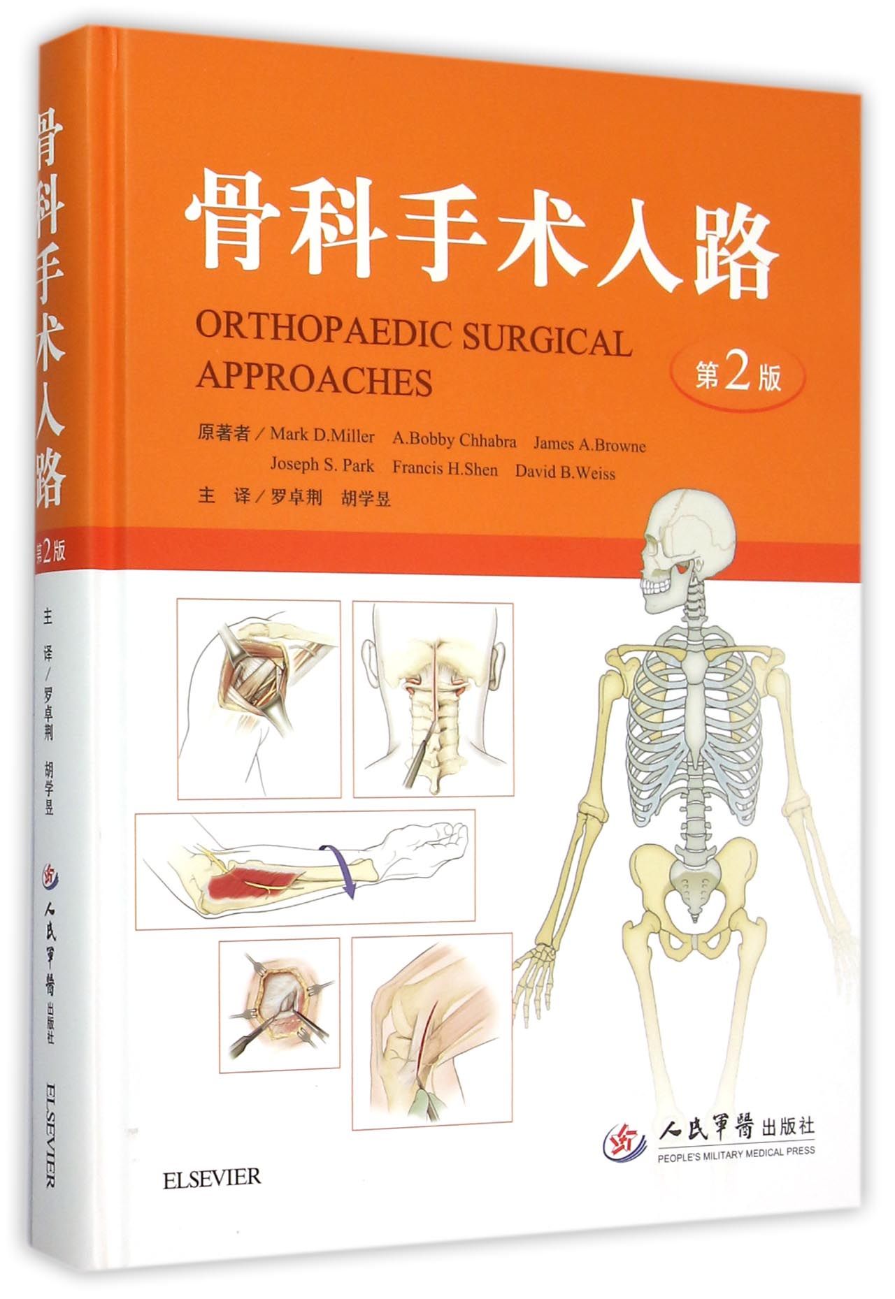 骨科手术入路 第二版 （精装）