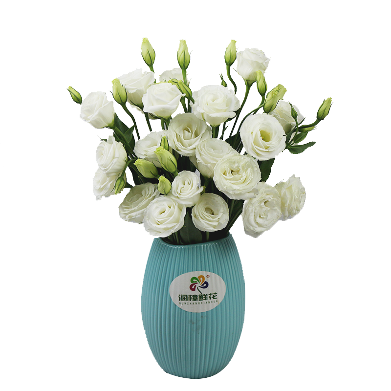 润樟鲜花母亲节礼物家庭鲜花插花每周一花洋桔梗系列 单次 每束10朵花以上全国中通空运包邮浅紫色洋桔梗10朵花以上特惠 虎窝购 润樟鲜花母亲节礼物家庭鲜花插花每周一花洋桔梗系列 单次 每束10朵花以上全国中通空运包邮浅紫色洋桔梗10朵花以上特惠 虎窝购