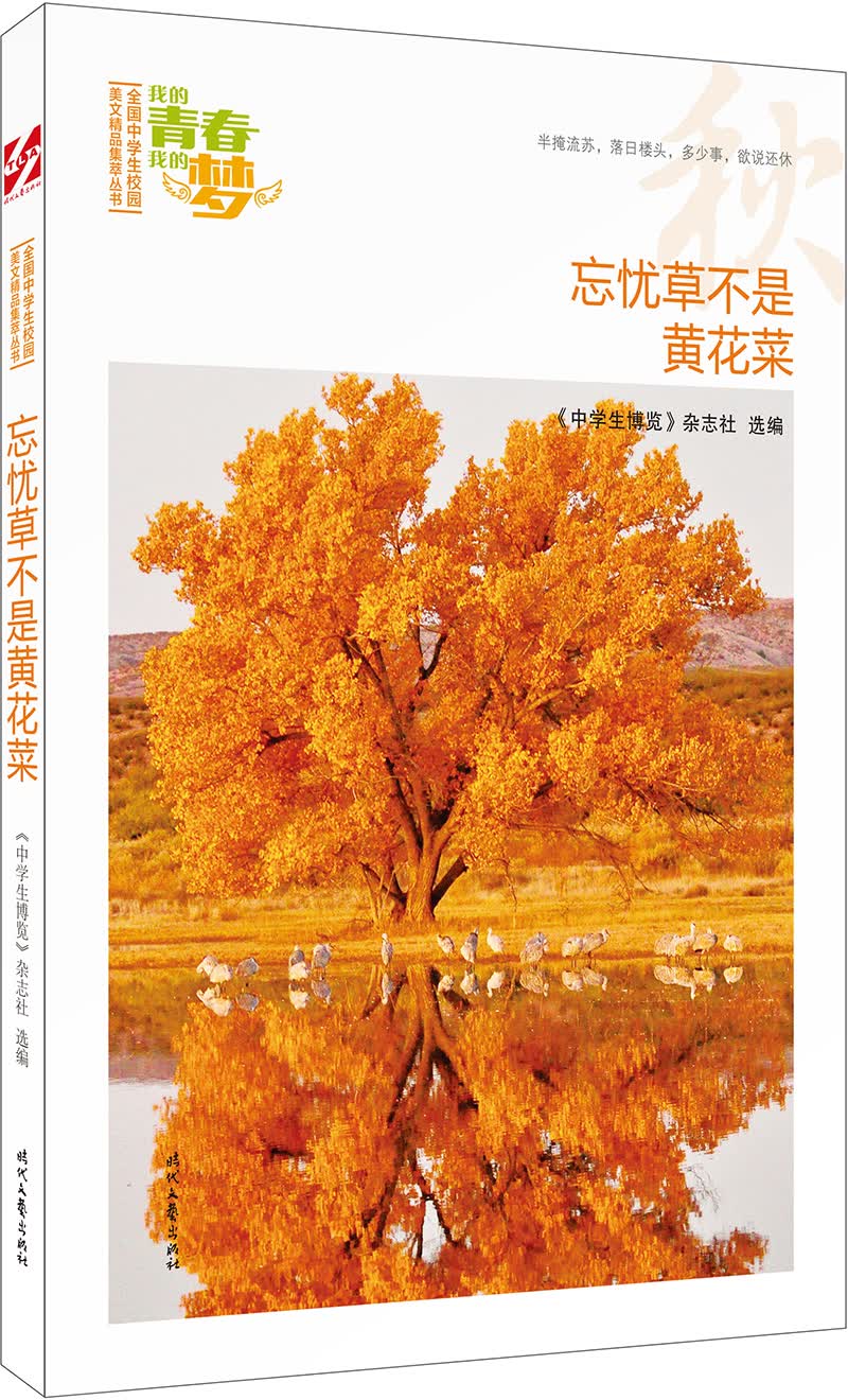 我的青春我的梦：（秋）忘忧草不是黄花菜