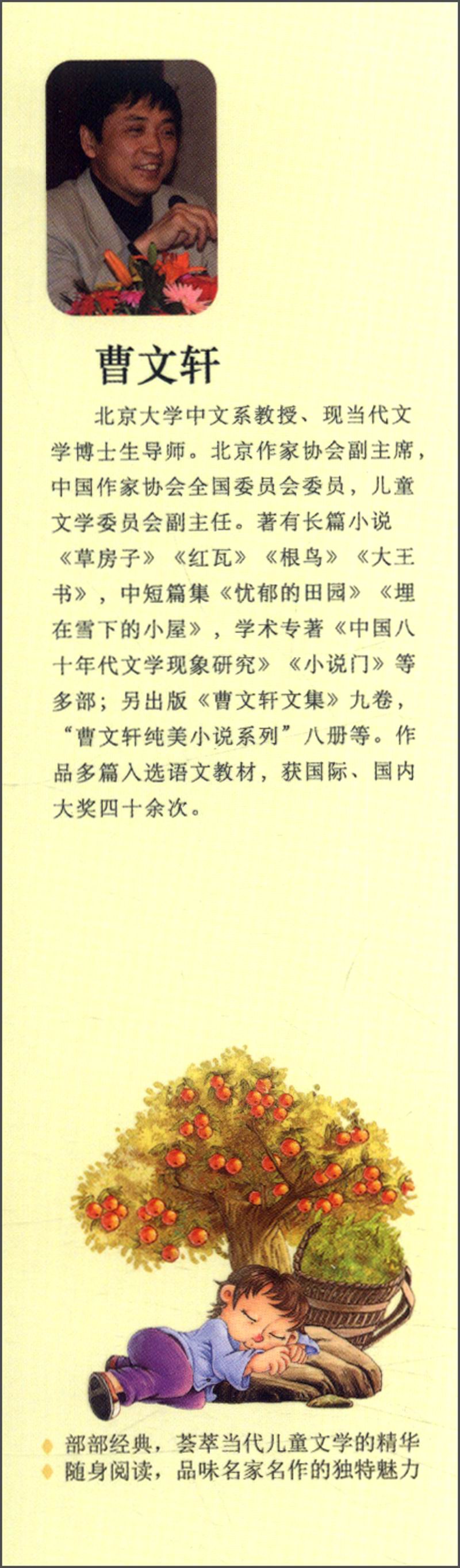 文学名家名作美绘本:甜橙树(注音版)