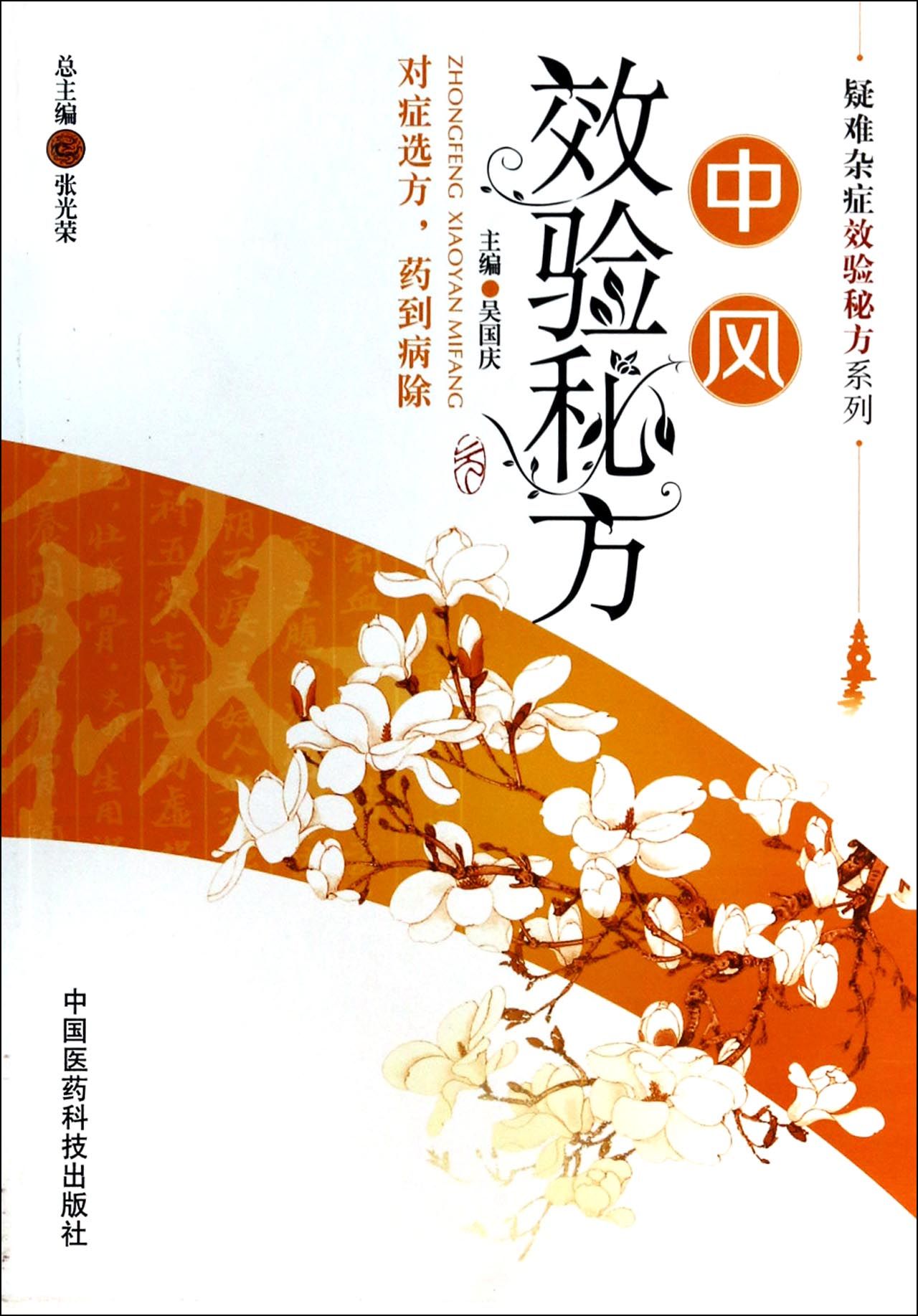 中风效验秘方/疑难杂症效验秘方系列