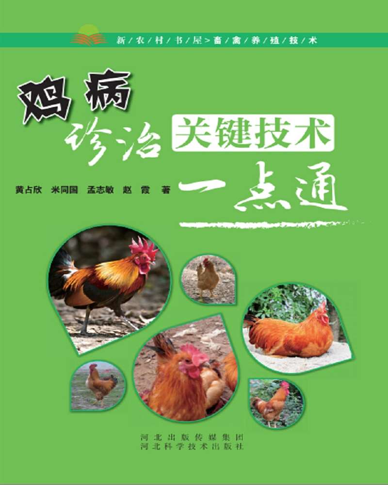 鸡病诊治关键技术一点通
