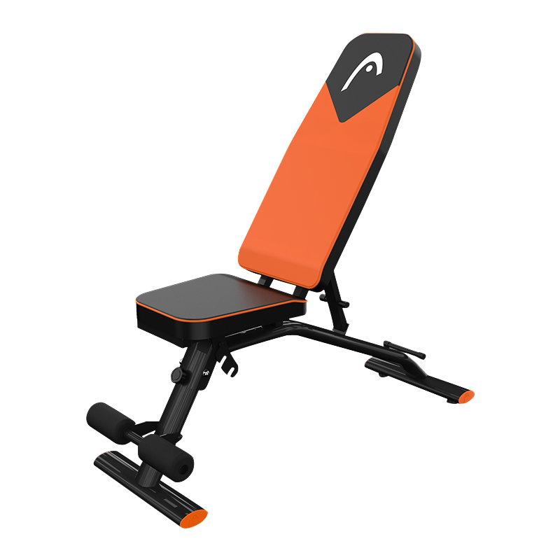 海德(HEAD)仰卧板 哑铃凳 多功能健身椅腹肌板卧推凳 健身器材 一板多用 可折叠869D
